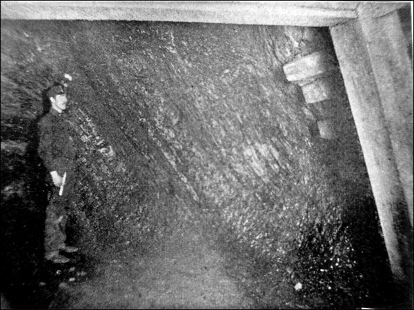 Underground view of the Eureka coal seam